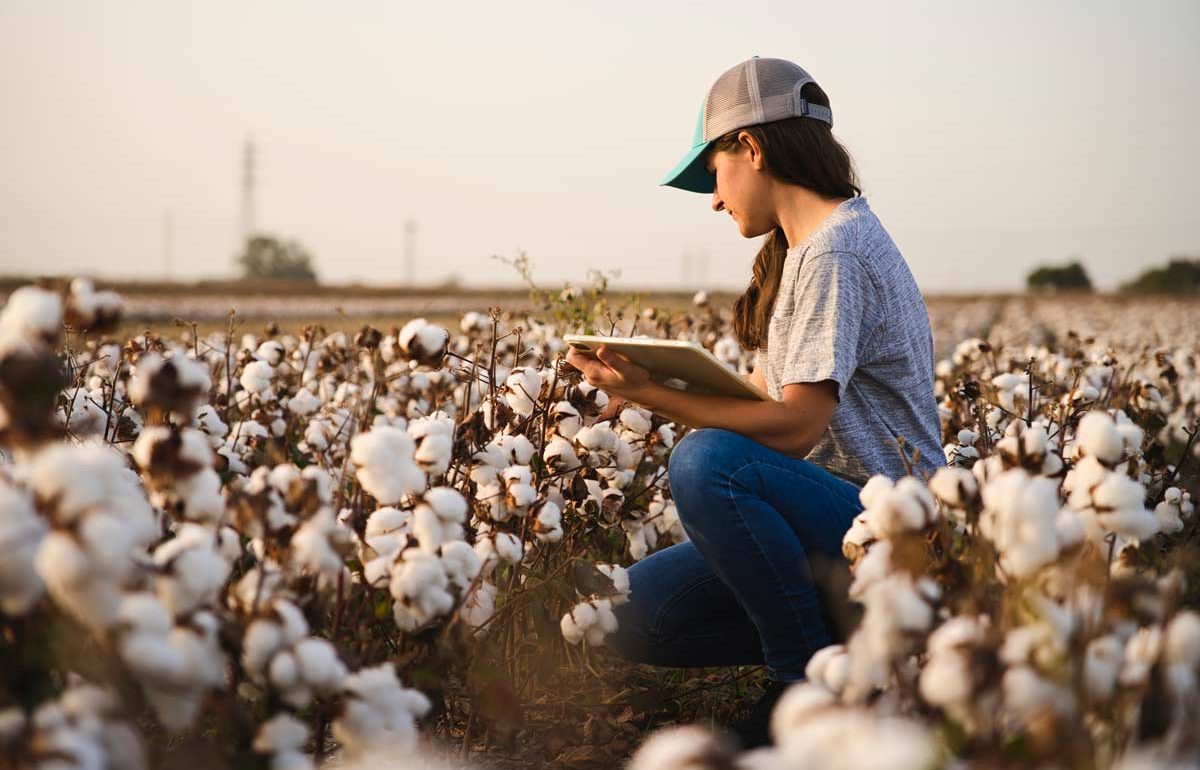 La cinta de riego Aquatraxx revoluciona la forma de cultivar algodón