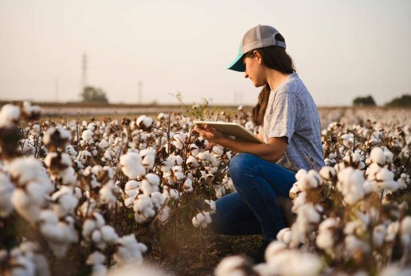La cinta de riego Aquatraxx revoluciona la forma de cultivar algodón