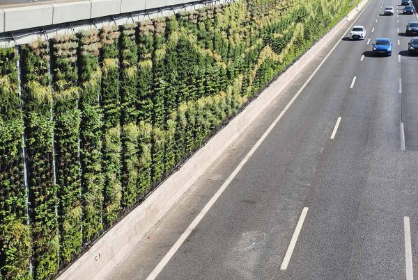 Jardín Vertical Madrid, Calle 30 Natura en la M30, Advenida de la Ilustración Madrid. Una iniciativa para el cumplimiento de la Agenda 2030 y los ODS. El jardín vertical más grande de Europa para ayudar a la transformación de la ciudad.