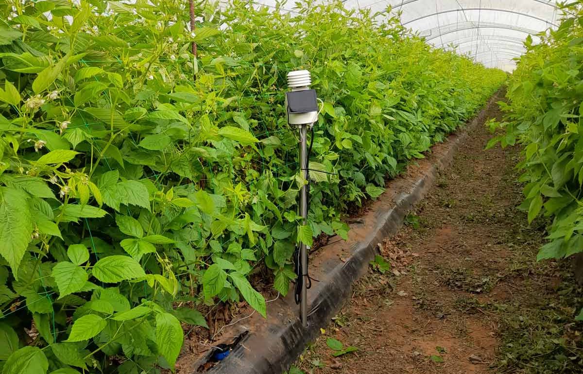 Multi-cultivo con estaciones agroclimáticas en agricultura 4.0 mejorando la gestión. Metos Iberia simplifica la gestión de tu proyecto ayúdate a tomar decisiones basada en los datos