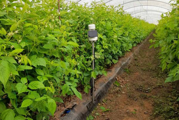 Multi-cultivo con estaciones agroclimáticas en agricultura 4.0 mejorando la gestión. Metos Iberia simplifica la gestión de tu proyecto ayúdate a tomar decisiones basada en los datos