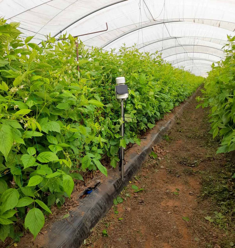 Multi-cultivo con estaciones agroclimáticas en agricultura 4.0 mejorando la gestión. Metos Iberia simplifica la gestión de tu proyecto ayúdate a tomar decisiones basada en los datos