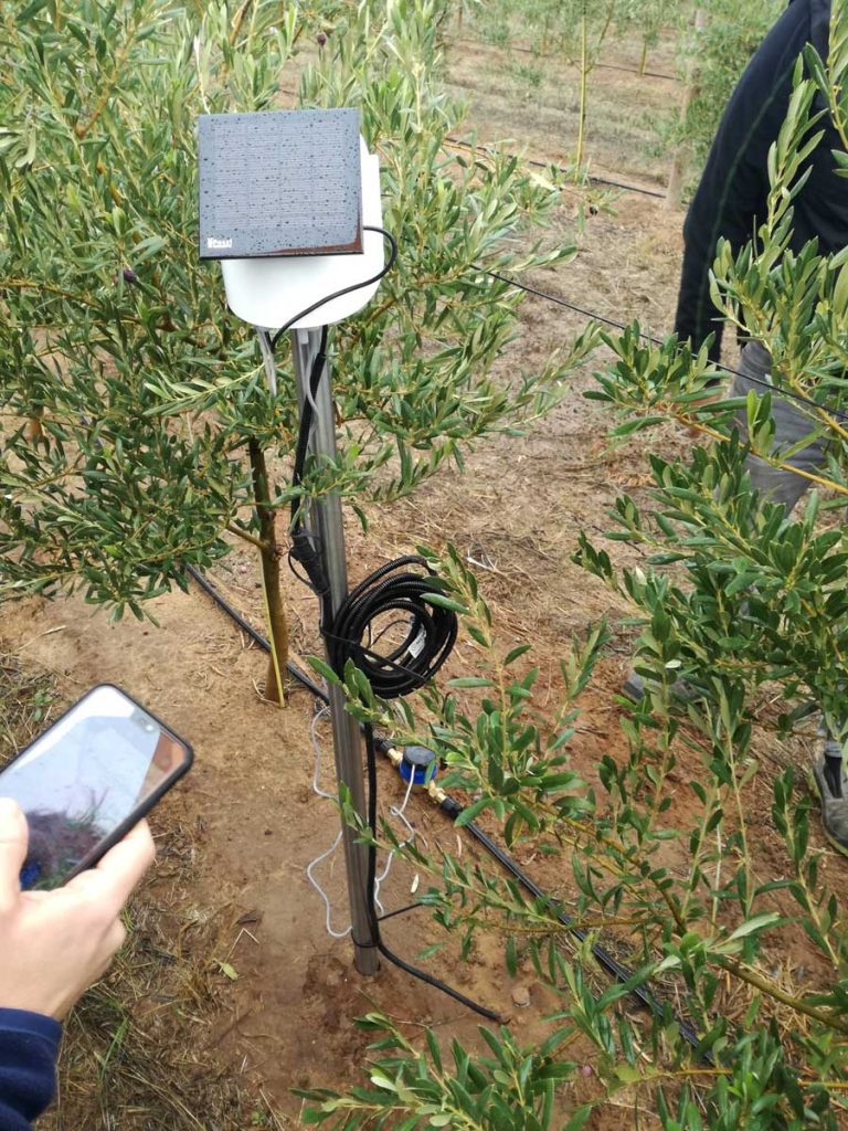 Estaciones Agroclimáticas Metos Iberia avanzadas en proyecto de olivos